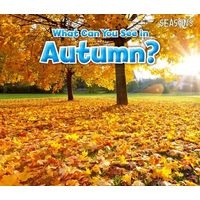 What Can You See in Autumn? (Paperback) - Sian Smith Photo
