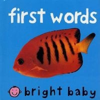 First Words (Board book) - Priddy Books Photo