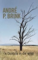 'n Oomblik in Die Wind (Afrikaans, Paperback) - Andre P Brink Photo