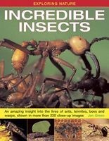 Exploring Nature: Incredible Insects - An Amazing Insight into the Lives of Ants, Termites, Bees and Wasps, Shown in More Than 220 Close-up Images (Hardcover) - Jen Green Photo