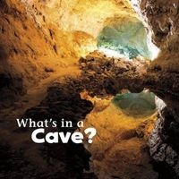 What's in a Cave? (Paperback) - Martha E Rustad Photo