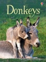 Donkeys (Hardcover) - James Maclaine Photo