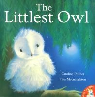 The Littlest Owl (Paperback) - Caroline Pitcher Photo