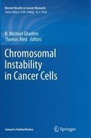 Chromosomal Instability in Cancer Cells (Paperback) - B Michael Ghadimi Photo