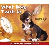 What Dogs Teach Us (Calendar) - Glenn Drumgoole Photo