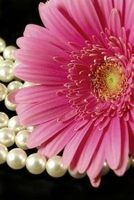 A Lovely Pink Gerbera Daisy and Pearls Journal - 150 Page Lined Notebook/Diary (Paperback) - Cs Creations Photo