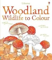 Woodland Wildlife to Colour (Paperback) - Susan Meredith Photo