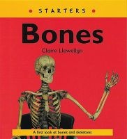 Read Write Inc. Comprehension: Module 9: Children's Books: Bones Pack of 5 Books (Paperback) - Claire Llewellyn Photo