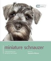 Miniature Schnauzer - Miniature Schnauzer - Dog Expert (Paperback) - Jeanette Wilson Photo