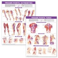 Trigger Point Chart Set - Torso and Extremities (Wallchart, 2nd Revised edition) - Anatomical Chart Company Photo