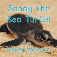 Sandy the Sea Turtle (Paperback) - Ashley Vallance Photo