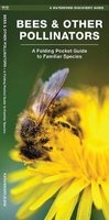 Waterford's Discovery Guide: Bees and Pollinators - A Folding Pocket Guide to the Status of Familiar Species (Pamphlet) - James Kavanagh Photo