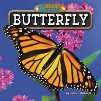 Butterfly (Hardcover) - Jessica Rudolph Photo