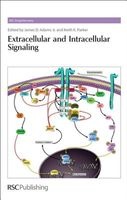 Extracellular and Intracellular Signaling (Hardcover) - James D Adams Jr Photo