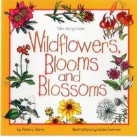 Wildflowers, Blooms & Blossoms (Paperback) - Diane Burns Photo