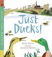 Just Ducks! (Paperback) - Nicola Davies Photo