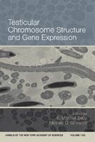 Testicular Chromosome Structure and Gene Expression (Paperback) - E Mitchell Eddy Photo