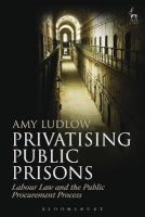 Privatising Public Prisons - Labour Law and the Public Procurement Process (Hardcover) - Amy Ludlow Photo