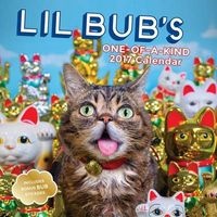  2017 (Calendar) - Lil Bub Photo