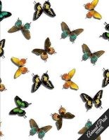  - Butterfly Design, Journal/Diary, Wide Ruled, 100 Pages, 8.5 X 11 (Paperback) - Animal Print Notebook Collection Photo