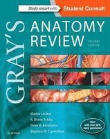 Gray's Anatomy Review (Paperback, 2nd Revised edition) - Marios Loukas Photo