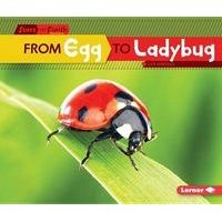 From Egg to Ladybug (Paperback) - Lisa Owings Photo