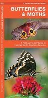 Butterflies & Moths - A Folding Pocket Guide to Familiar North American Species (Pamphlet) - James Kavanagh Photo