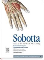 Sobotta Atlas of Human Anatomy, Volume 1 - General Anatomy and Musculoskeletal System with Online Access to www.e-sobotta.com (English, Latin, Hardcover, 15th Revised edition) - Friedrich Paulsen Photo