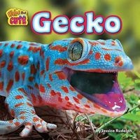 Gecko (Hardcover) - Jessica Rudolph Photo