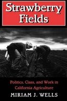 Strawberry Fields - Politics, Class and Work in California Agriculture (Paperback, New) - Miriam J Wells Photo