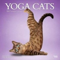 Yoga Cats (Calendar) - Inc Browntrout Publishers Photo