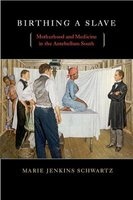 Birthing a Slave - Motherhood and Medicine in the Antebellum South (Paperback) - Marie Jenkins Schwartz Photo