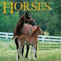 Horses - An Abridgment of 's Big Book of Horses (Paperback) - Harold Roth Photo