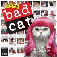 Bad Cat Wall Calendar 2017 (Calendar) - Workman Publishing Photo