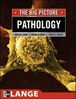 Pathology - The Big Picture (Paperback) - William Kemp Photo
