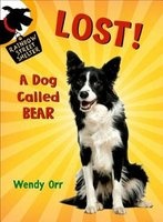 Lost! a Dog Called Bear (Paperback) - Wendy Orr Photo