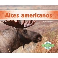 Alces Americanos (Moose) (Spanish, Hardcover) - Grace Hansen Photo