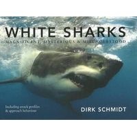 White Sharks - Magnificent, Mysterious & Misunderstood (Hardcover) - Dirk Schmidt Photo