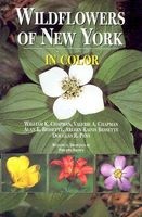Wildflowers of New York in Color (Paperback, 1st ed) - William K Chapman Photo