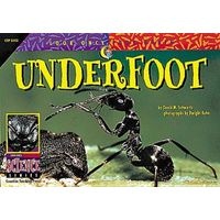 Underfoot (Paperback) - David M Schwartz Photo
