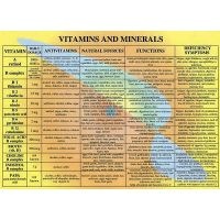 Vitamins and Minerals (Poster) -  Photo