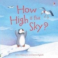 How High is the Sky? (Paperback, New edition) - Anna Milbourne Photo