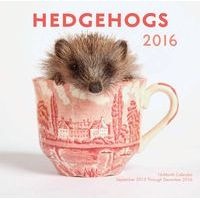 Hedgehogs2016 Mini - 16-Month Calendar September 2015 Through December 2016 (Calendar) - Editors of Rock Point Photo