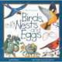 Birds, nests, and eggs (Paperback) - Mel Boring Photo