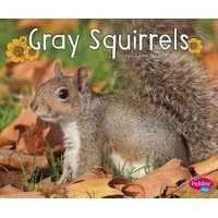 Gray Squirrels (Paperback) - GG Lake Photo