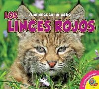 Los Linces Rojos (Bobcats) (English, Spanish, Hardcover) - Aaron Carr Photo