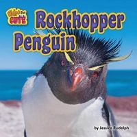 Rockhopper Penguin (Hardcover) - Jessica Rudolph Photo