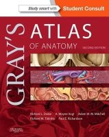 Gray's Atlas of Anatomy (Paperback, 2nd Revised edition) - Richard Drake Photo