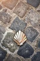 Pilgrim's Shell on the Camino de Santiago de Compostela Spain Journal - 150 Page Lined Notebook/Diary (Paperback) - Cs Creations Photo