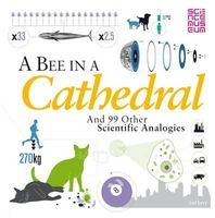 A Bee in a Cathedral - And 99 Other Scientific Analogies (Paperback) - Joel Levy Photo
